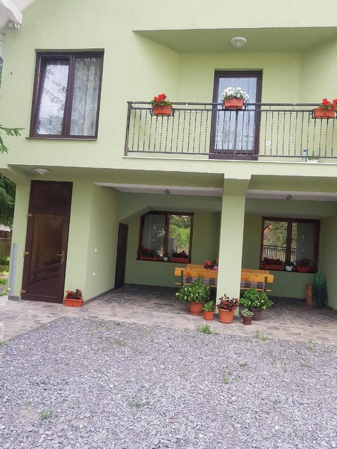 Casa Alma 호텔 Borşa 외부 사진