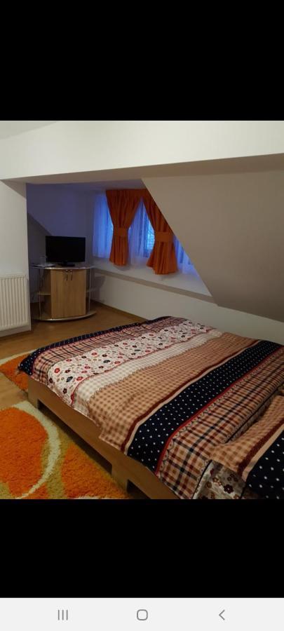 Casa Alma 호텔 Borşa 외부 사진
