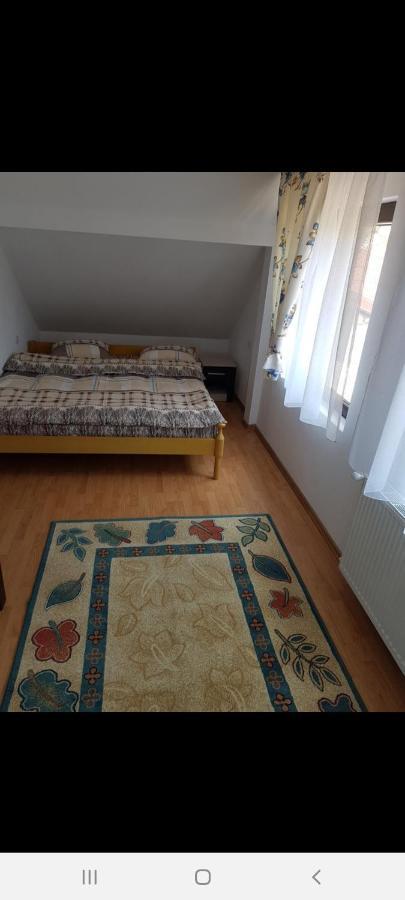 Casa Alma 호텔 Borşa 외부 사진