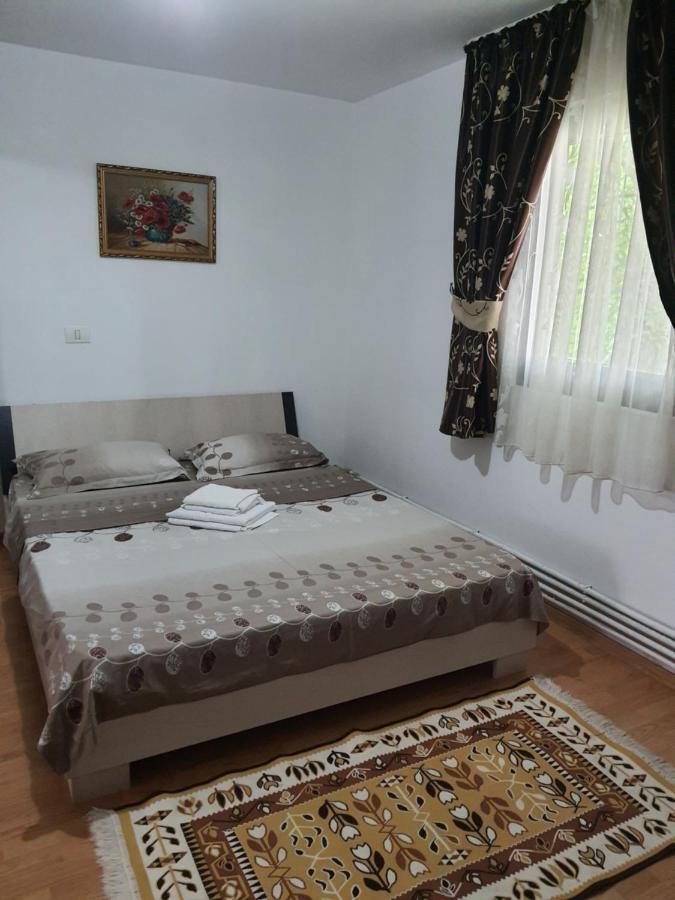 Casa Alma 호텔 Borşa 외부 사진