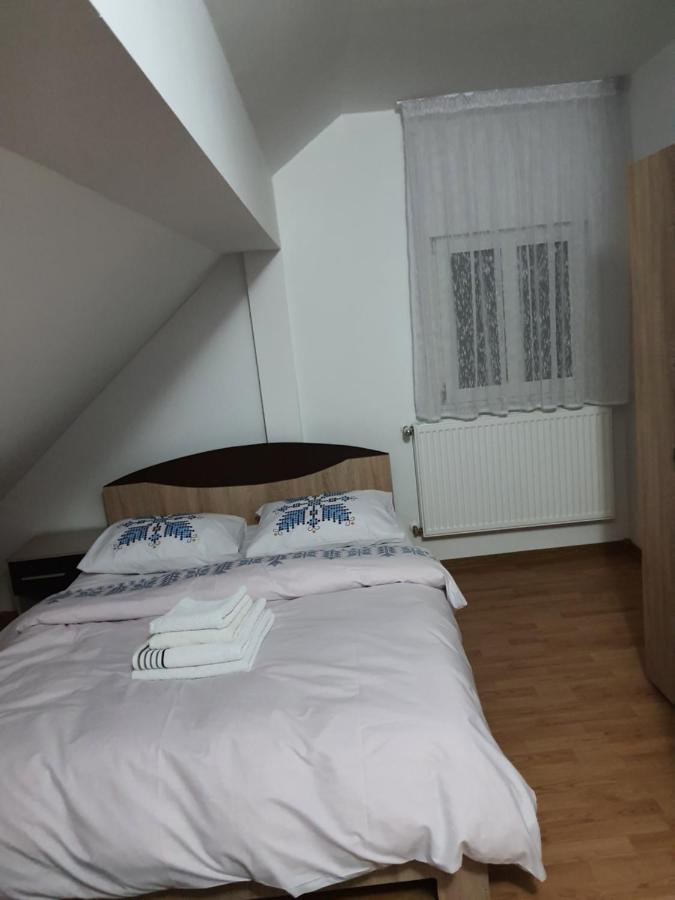 Casa Alma 호텔 Borşa 외부 사진