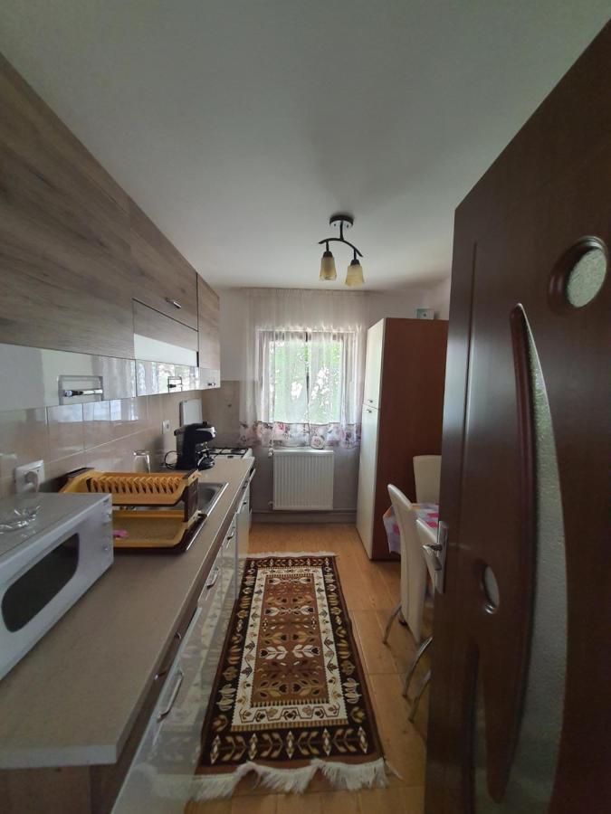 Casa Alma 호텔 Borşa 외부 사진